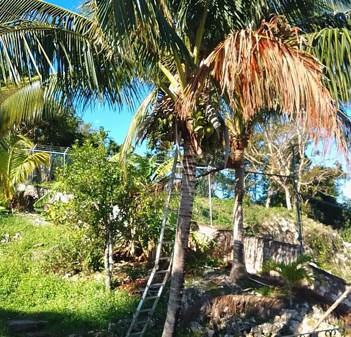 Hotel Bayview Luxury Retreat Montego Bay Affittacamere